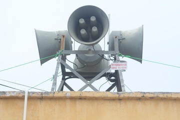 44833