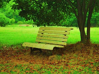 DSCF7177.jpg