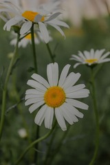328453