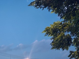 1000013930