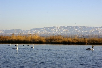 _IGP9966