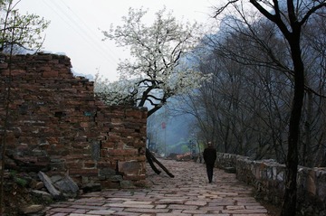 IMGP1859.jpg