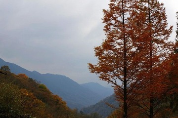 山之秋色3