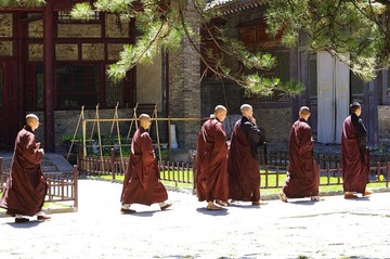 学经去