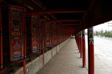 _IGP3591