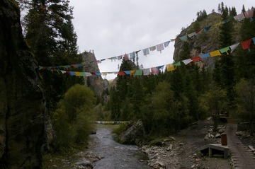 _IGP3614