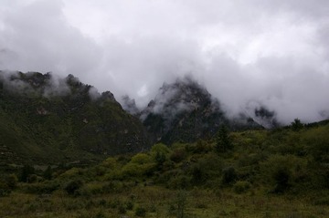 _IGP3641