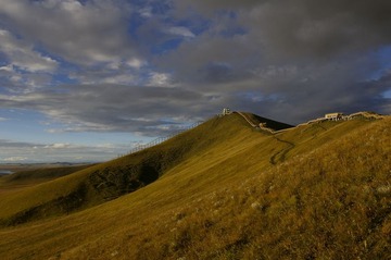 _IGP3672