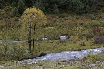 _IGP3837