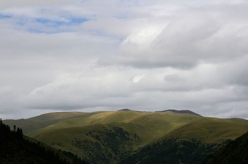 _IGP3842