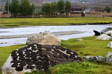 _IGP3864