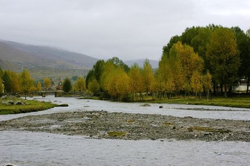 _IGP3865