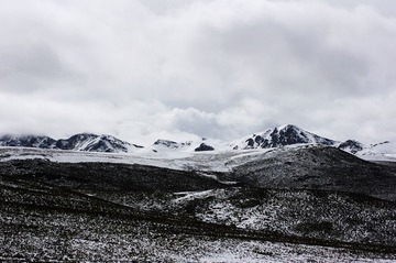 _IGP3924
