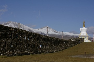 _IGP3959