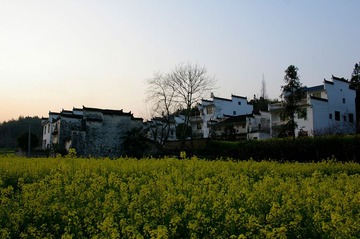 _IGP6107