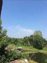 24062