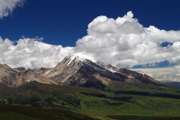 3064924