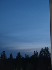 1000029348