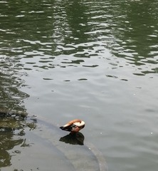 7568