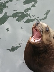 7935