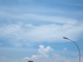 1000010227