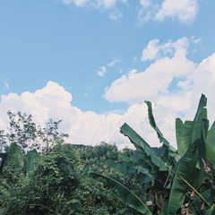 1000052758
