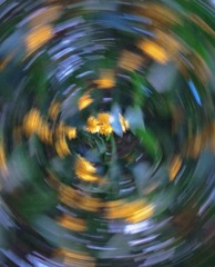 1000034763