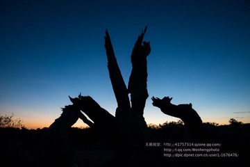 DSC_1119.jpg