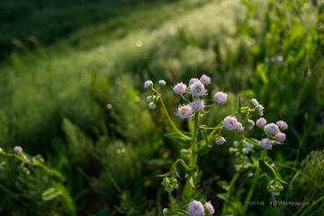 DSCF5658.jpg