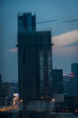 DSC_5648-1.jpg