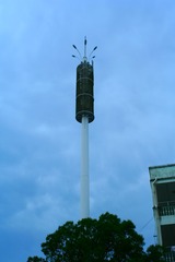 1000097617