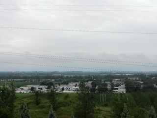 304467