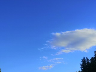 317065