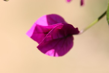 13303