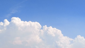 506