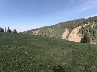 1000038681