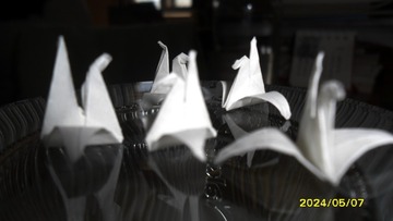 IMG_20240614_231701