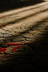 IMG_5542.jpg