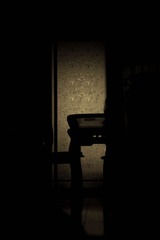 IMG_5561.jpg