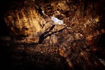 IMG_7713.jpg