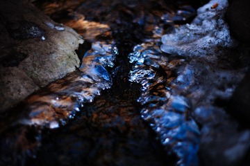 IMG_7651.jpg