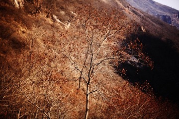 IMG_7686.jpg