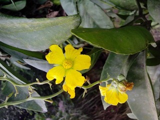 IMG_20121006_093237.jpg