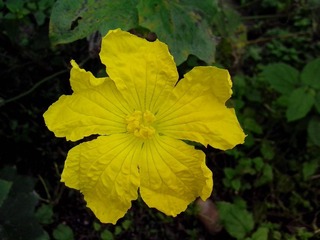 IMG_20121006_093813.jpg