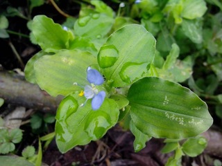 IMG_20121006_095109.jpg