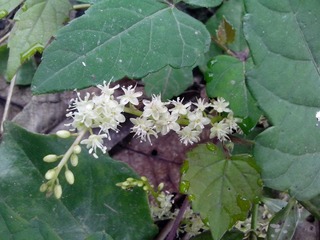 IMG_20121006_100047.jpg