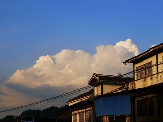 1766311