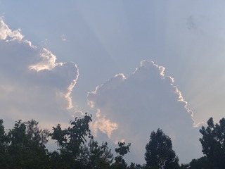 1000270509