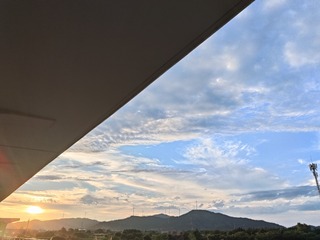 1000016463
