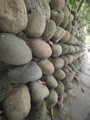 1000033389